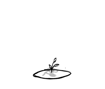 Ordinary Sunflower